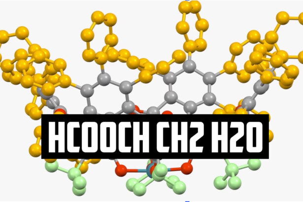 HCOOCH CH2 H2O