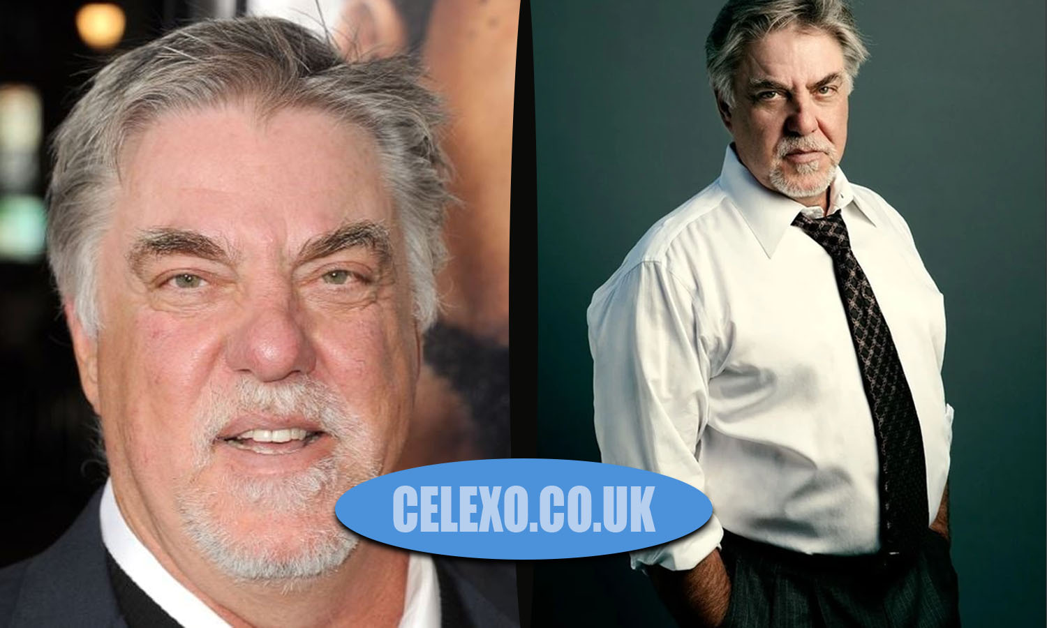 bruce mcgill net worth