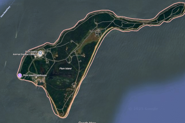 plum island southold ny 11957