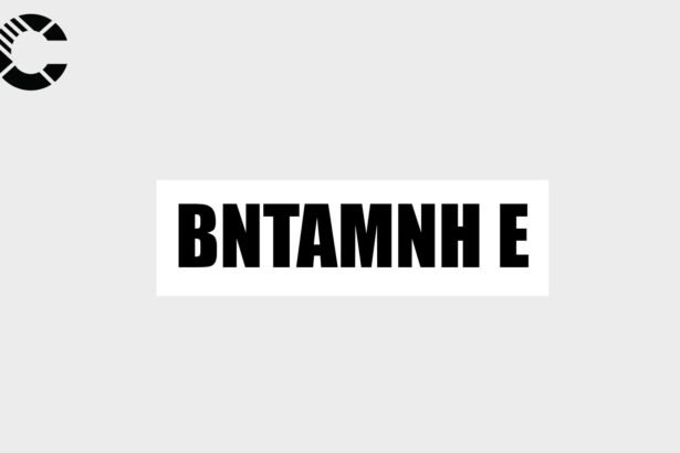 Bntamnh E