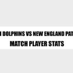 miami dolphins vs new england patriots match player stats
