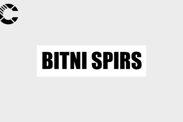 Bitni Spirs